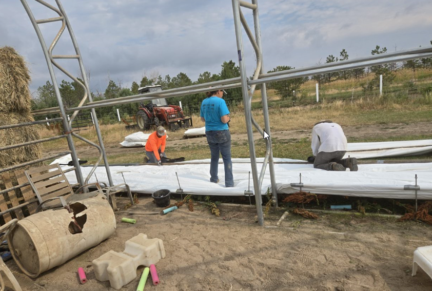 Inserting poles into the fabric