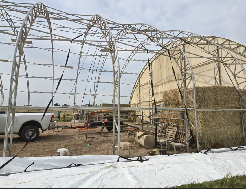Webbing over the frame